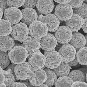 HPLC 固定相的都經(jīng)過(guò)的哪些變化？